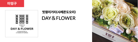 멋쟁이거리(샤레몬도오리) DAY FLOWER