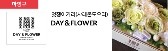 멋쟁이거리(샤레몬도오리) DAY FLOWER