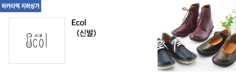 Ecol(신발)
