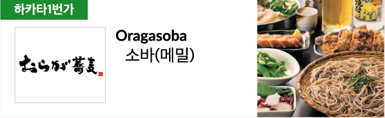 Oragasoba 소바(메밀)