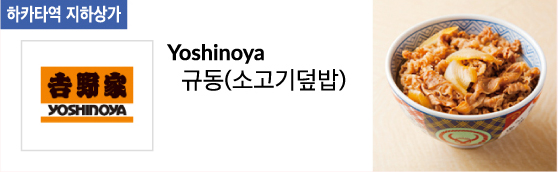 Yoshinoya 규동(소고기덮밥)